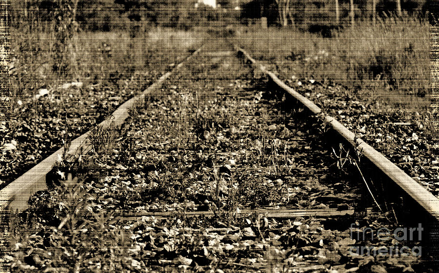Tracks  to Where #1 Photograph by Traci Cottingham