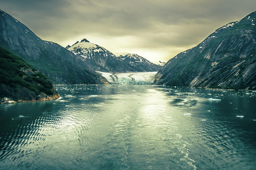 Tracy Arm Fjord Scenery In June In Alaska #1 Photograph by Alex Grichenko