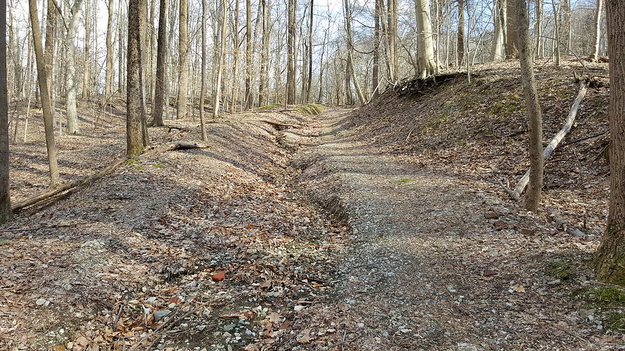 patapsco valley state park mountain biking