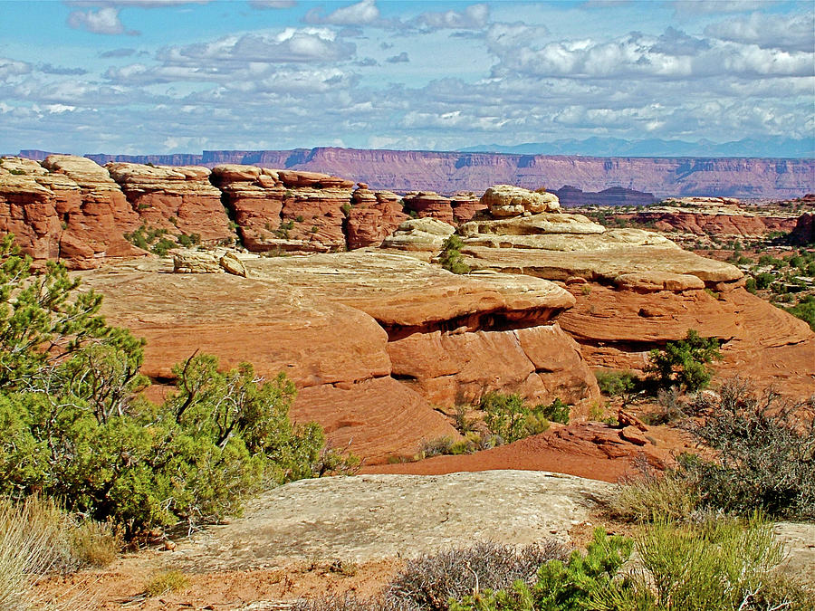 Trail to Chesler Park Viewpoint in Needles District in Canyonlands National Park, Utah #1 Photograph by Ruth Hager