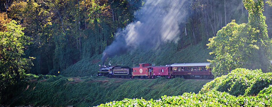Train passenger car of great smoky mountains railroad  #1 Photograph by Alex Grichenko