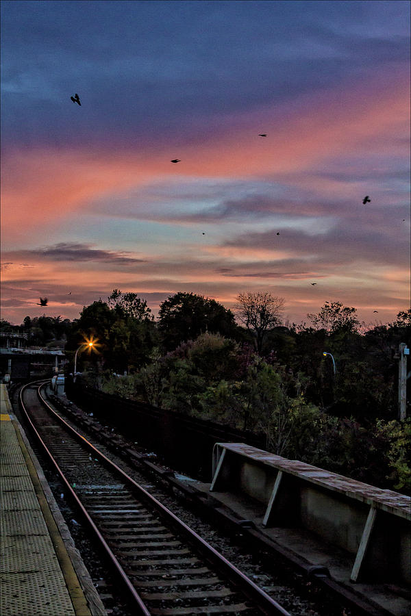 Train Tracks Sunset and Birds #1 Photograph by Robert Ullmann