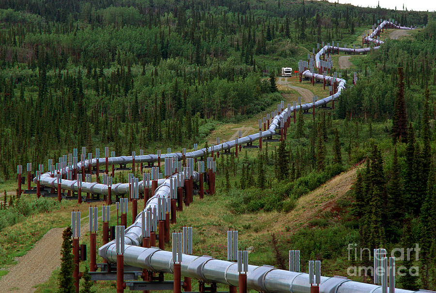 Trans-Alaska Pipeline #1 Photograph by Wernher Krutein
