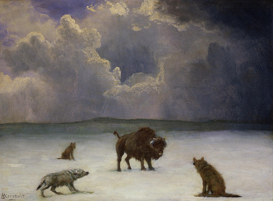 Albert Bierstadt  Painting - Trapped #1 by Albert Bierstadt