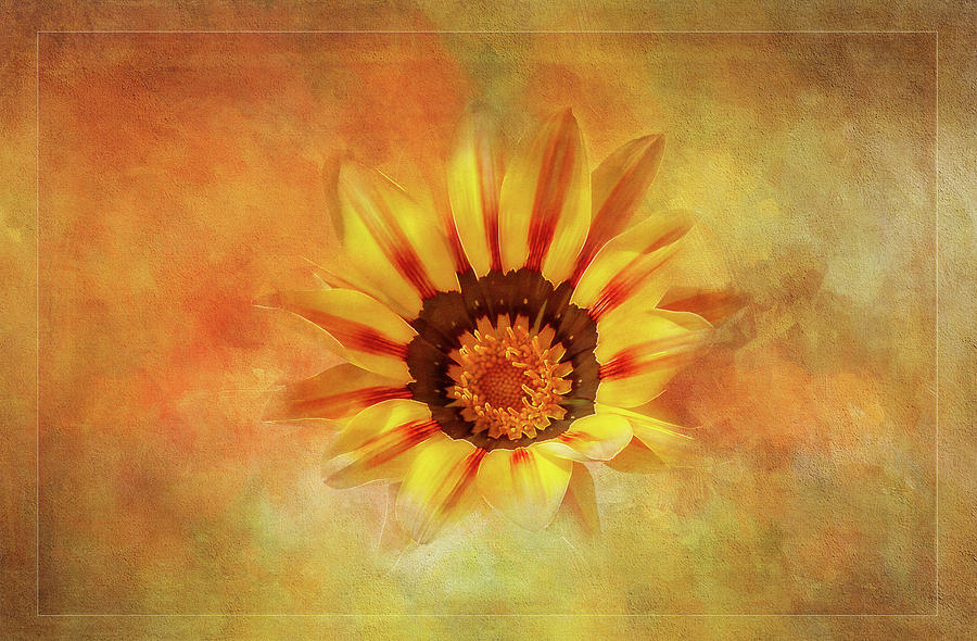 Treasure Flower #2 Digital Art by Terry Davis