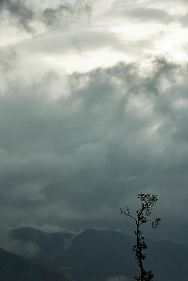 Tree and Mountain  #1 Photograph by Rajiv Chopra