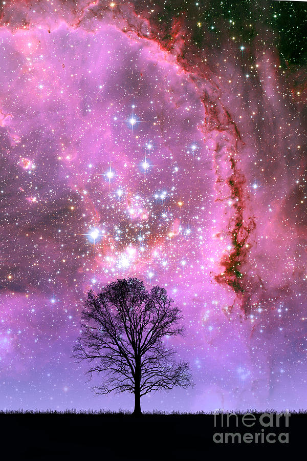Tree And Small Magellanic Cloud #1 Photograph by Larry Landolfi