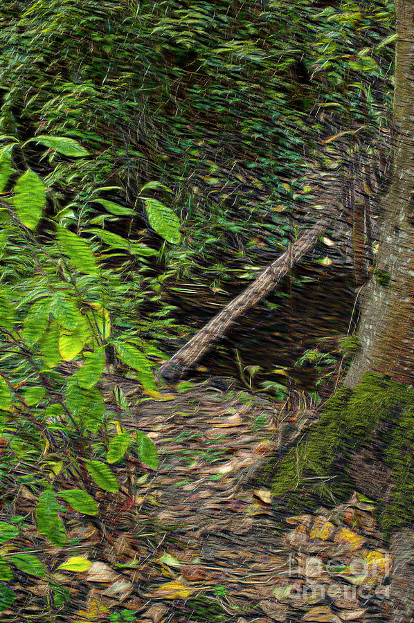 Tree Log Across Small Stream  #1 Photograph by Jim Corwin