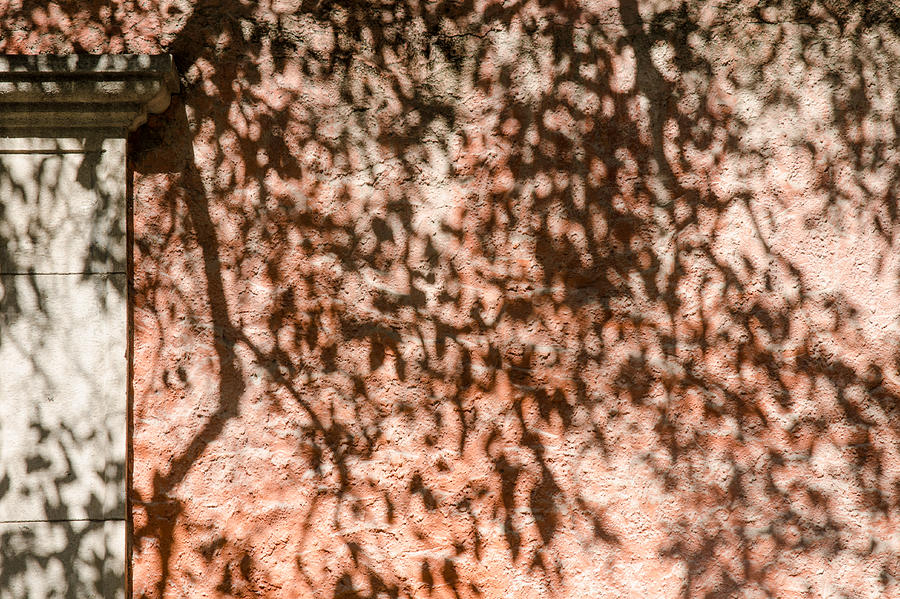 Tree shadows on stucco. #1 Photograph by Rob Huntley