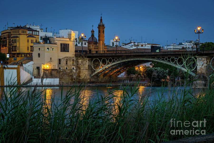 Triana Bridge Seville Spain #1 Photograph by Pablo Avanzini