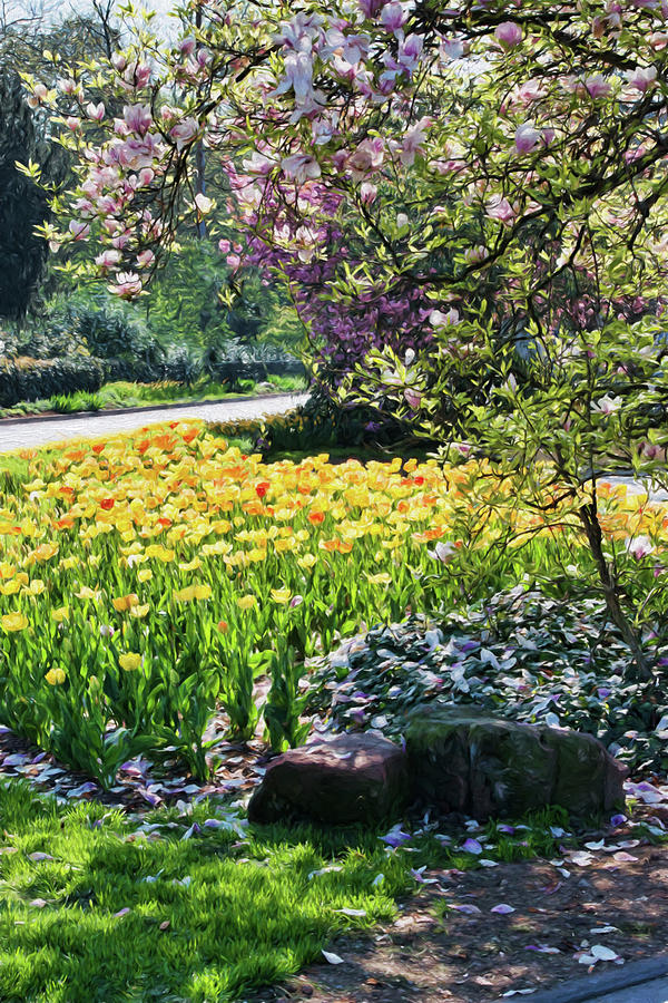 Trier, Germany, Spring Flowers #1 Photograph by Curt Rush