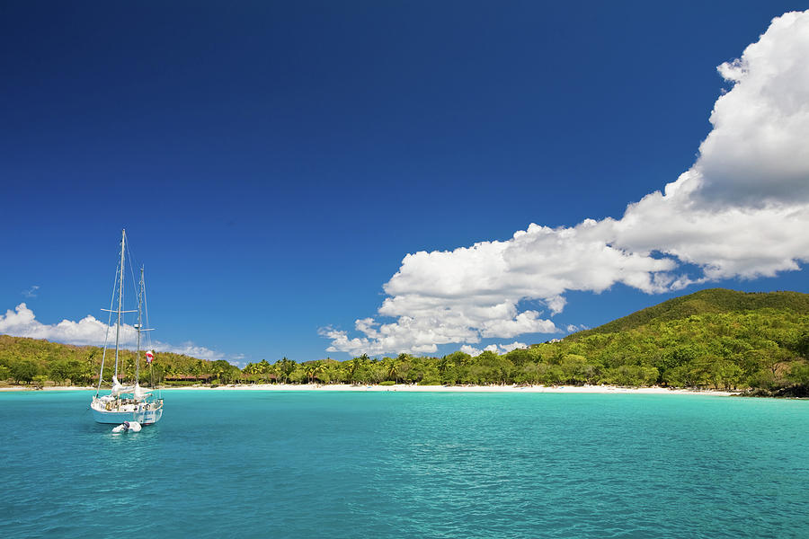 Tropical beach Photograph by Diego Pagani | Fine Art America