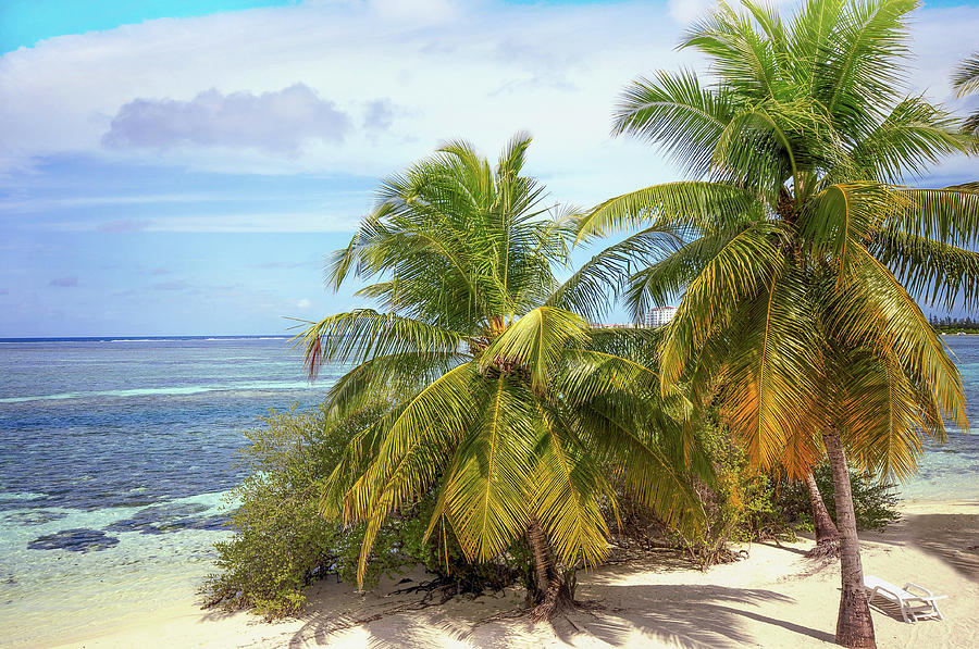 Tropical Island #2 Photograph by Jenny Rainbow