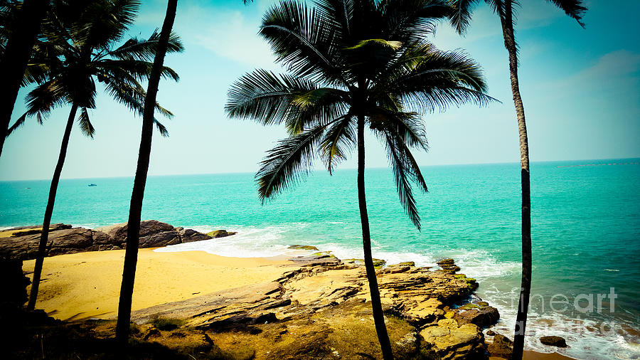 Tropical landscape with palm trees and ocean #1 Photograph by Raimond Klavins