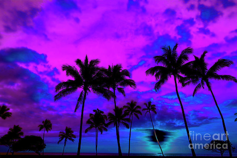 Luxury Violet Sunset Color with Palm Tree - Lucky Number 55