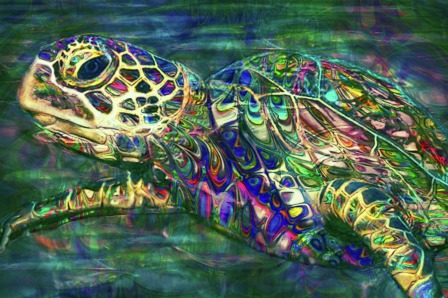 Turtle Painting - Tropical Sea Turtle 2 by Jack Zulli