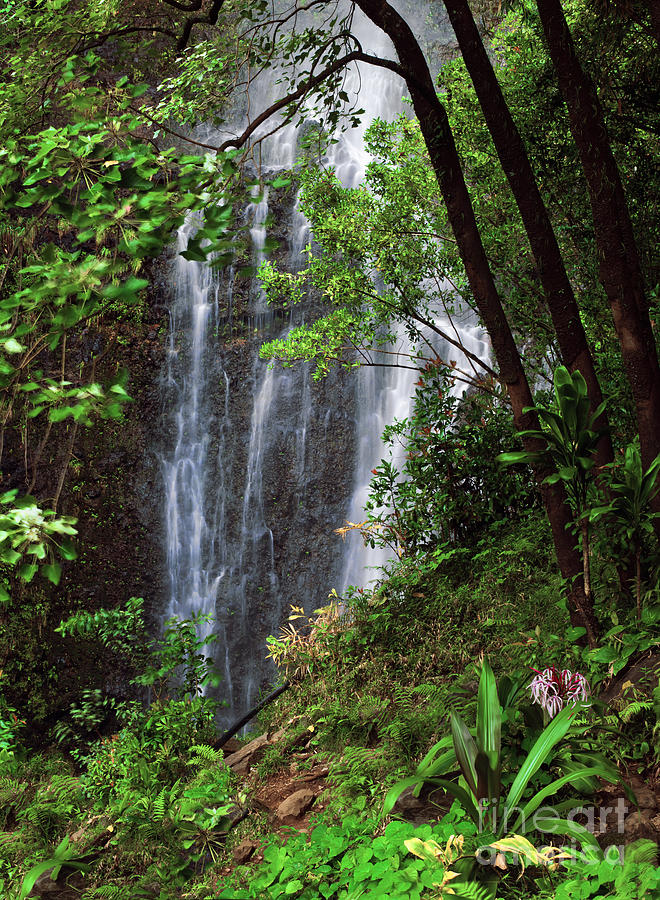 Tropical Waterfall Photograph