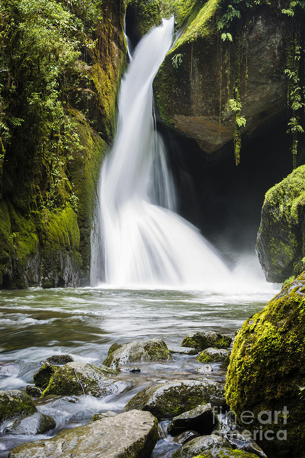 Tropical Waterfall #1 Photograph by Oscar Gutierrez