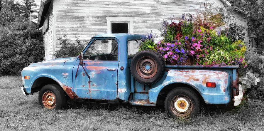 Truckbed Bouquet #1 Photograph by Andrea Platt