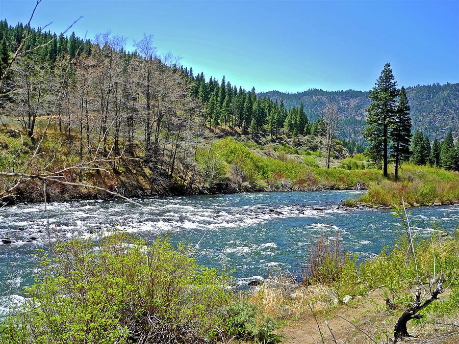 Truckee River in Northern California #1 Photograph by Ruth Hager