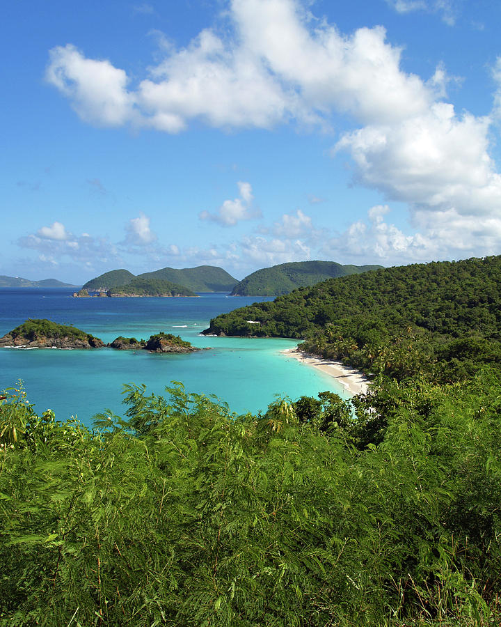 Beach Photograph - Trunk Bay 2 by Pauline Walsh Jacobson