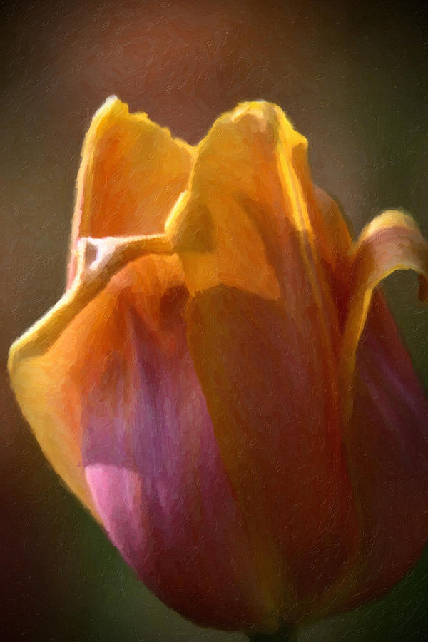Tulip #1 Painting by Prince Andre Faubert