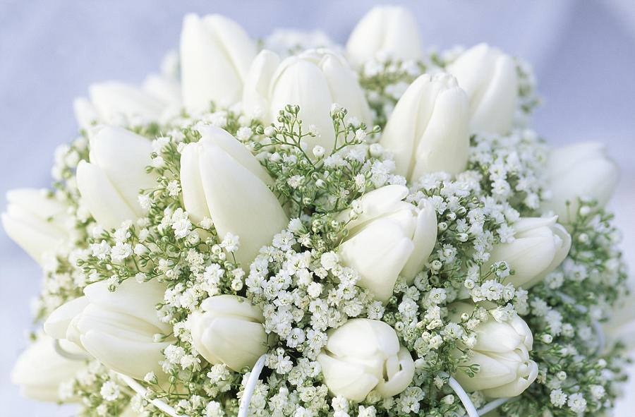 Tulips And Babys Breath Photograph by Jan Vermeer - Pixels