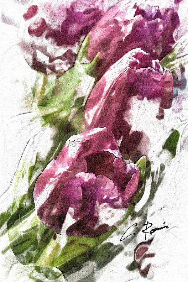Tulips #2 Digital Art by Charlie Roman