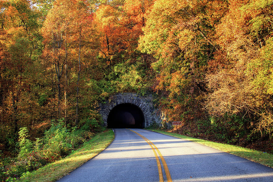 Tunnel Through Autumn #1 Photograph by Paul Malcolm