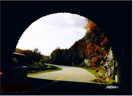 Tunnel Vision Photograph by Seth Weaver