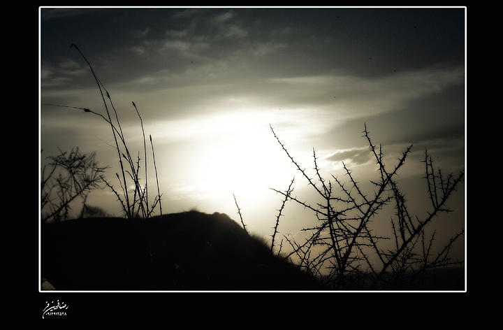 Turk Photograph - Turk by REZA Fardinfar Turk Photograph - Turk by REZA Fardinfar