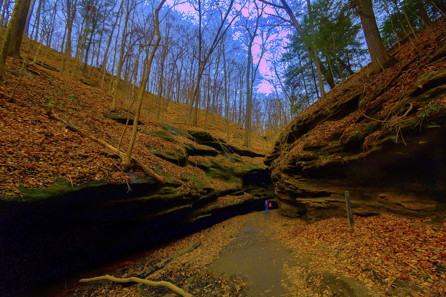 Turkey Run State Park, Indiana Photograph by Steve Schrock Pixels