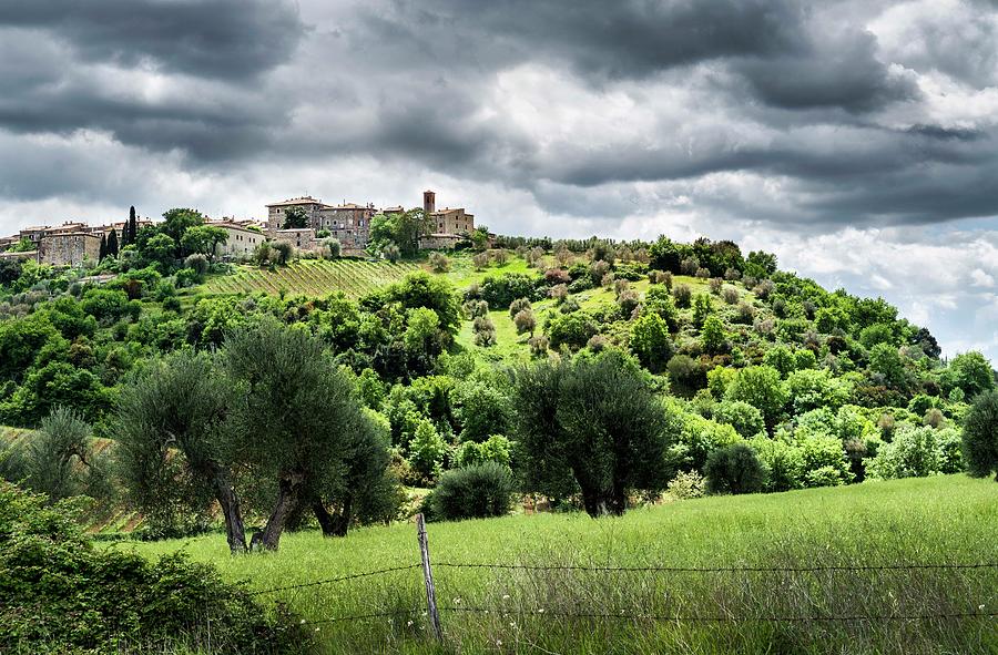 Tuscany #2 Photograph by Maureen Fahey