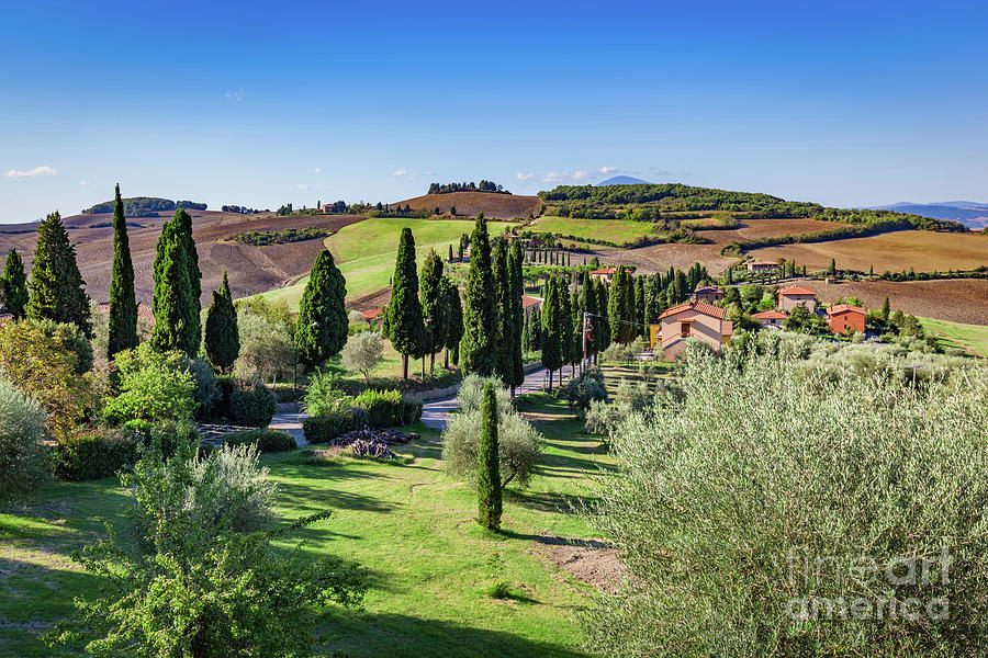 Tuscany countryside landscape with cypress trees, farms and green fields, Italy. #1 Photograph by Michal Bednarek