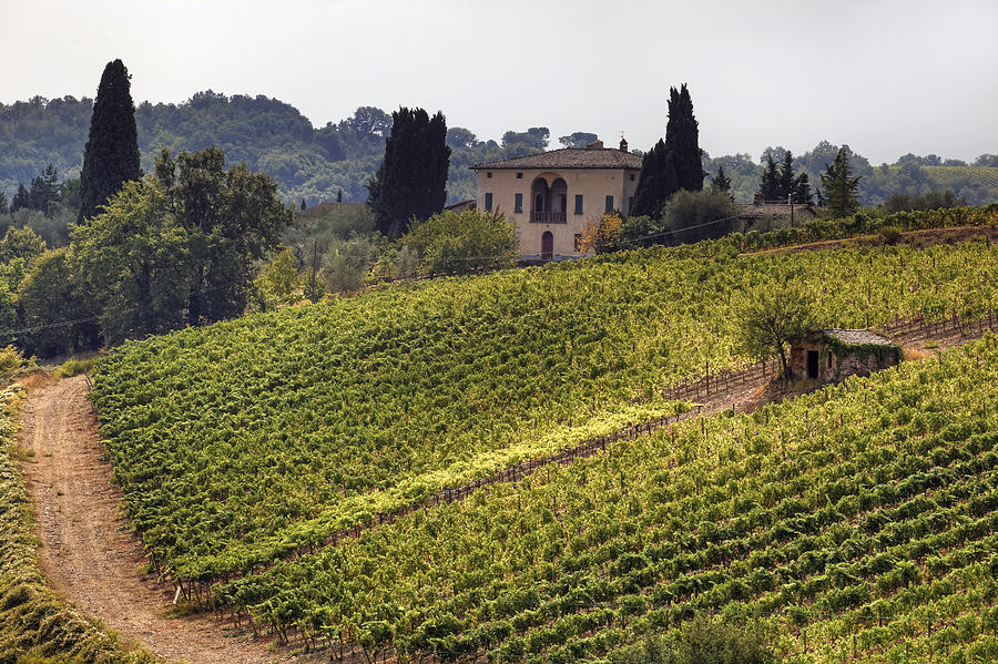 Tuscany Photograph by Joana Kruse