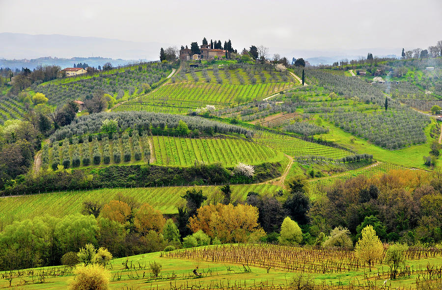 Tuscany landscape #1 Photograph by Dutourdumonde Photography