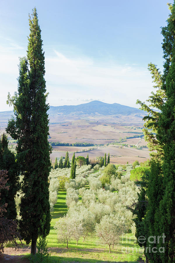 Tuscany landscape with cypress trees making a frame. Italy. #1 Photograph by Michal Bednarek