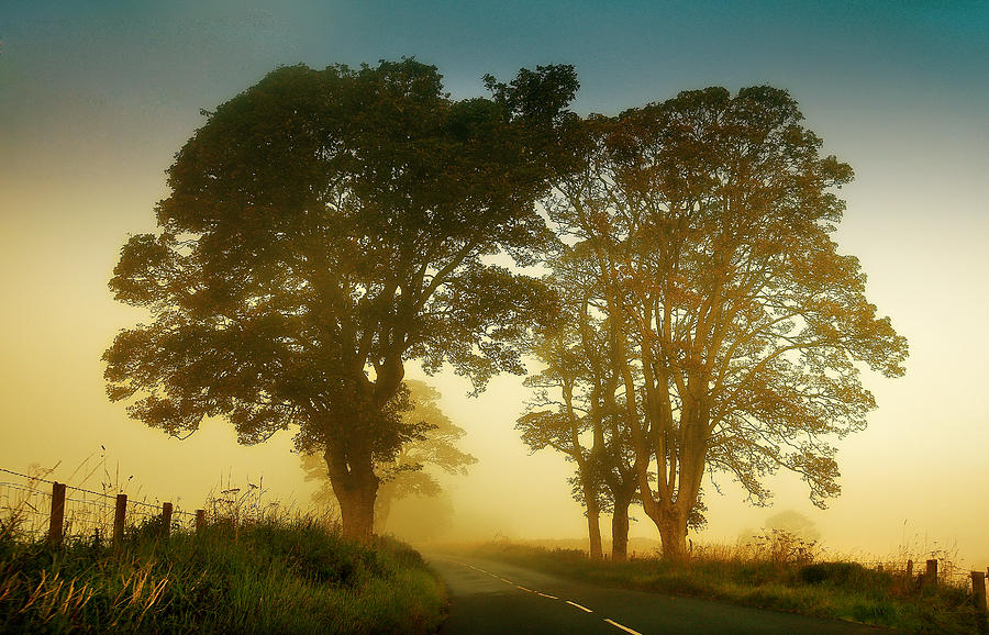 Twilight Guardians. Misty Roads of Scotland Photograph by Jenny Rainbow