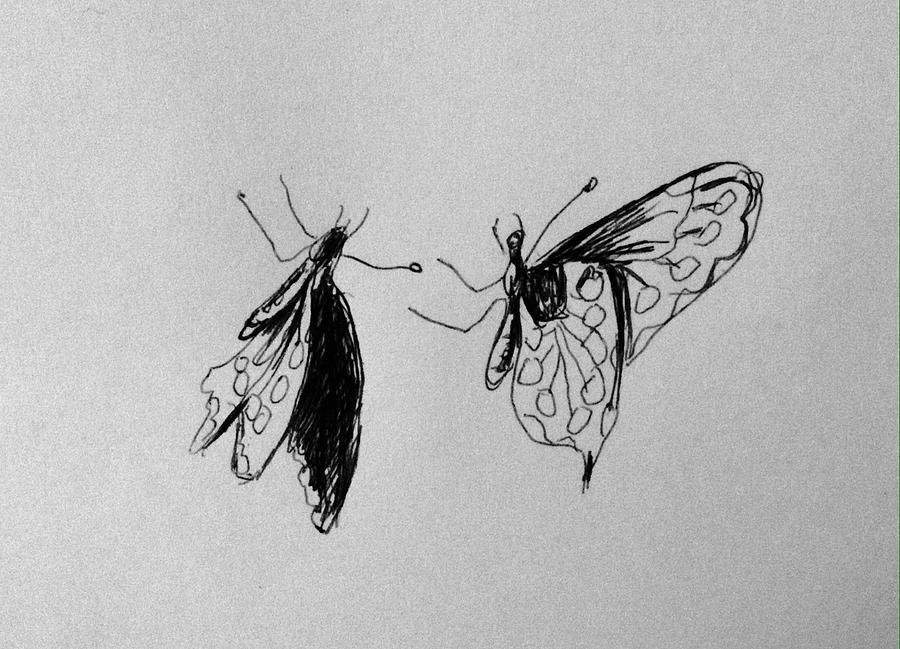Two butterfly #1 Drawing by Hae Kim