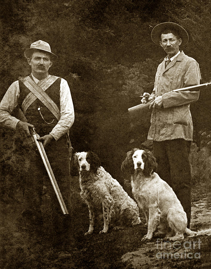 Bird Dogs Photograph - Two hunter with shotguns and bird dogs circa 1900 #1 by Monterey County Historical Society