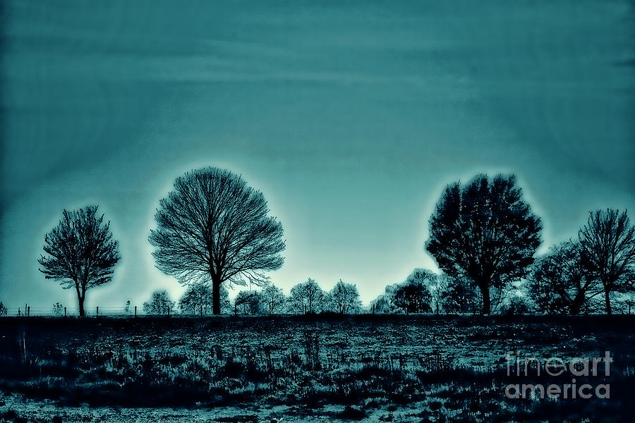 Two Trees #1 Photograph by Rick Bragan