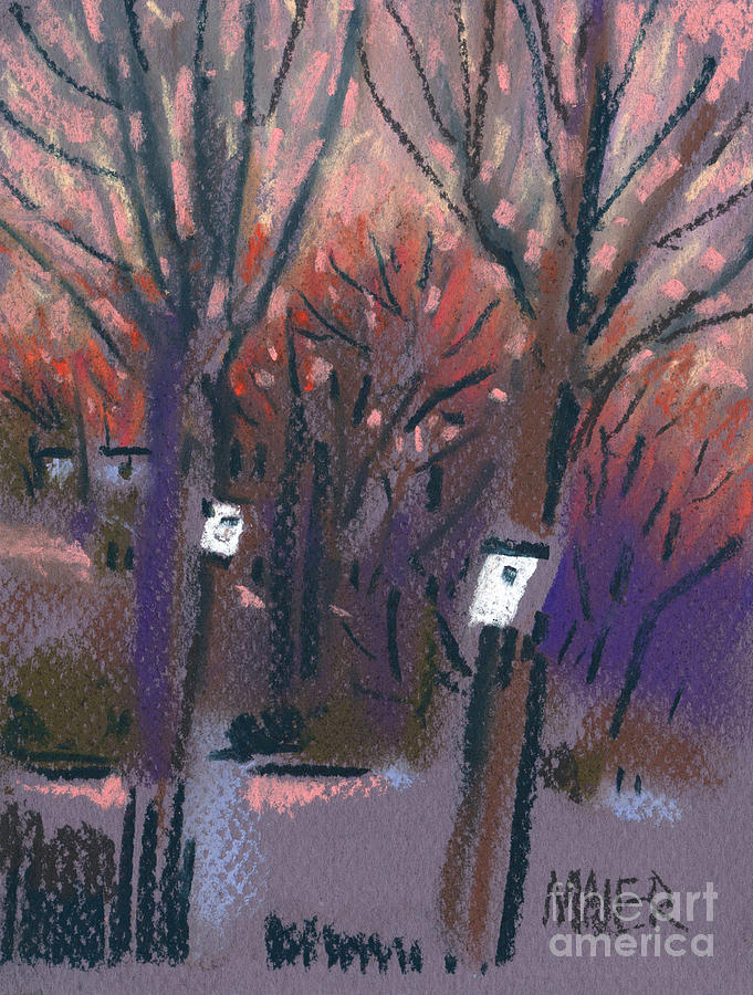 Two White Birdhouses Drawing by Donald Maier