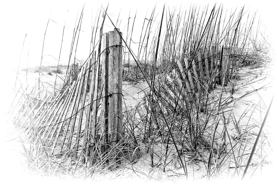 Landscape Photograph - Tybee Beach #2 by Marcia Colelli