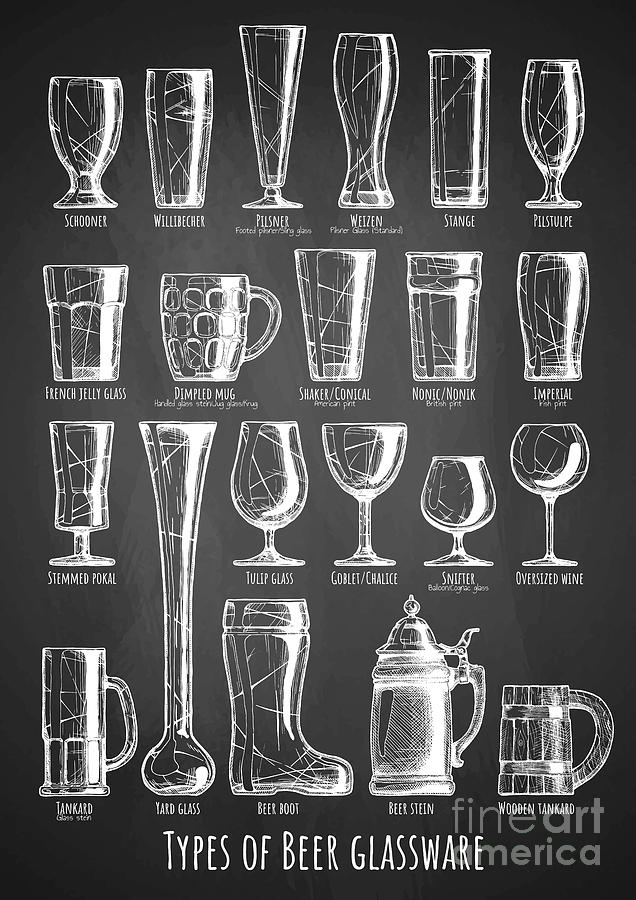 What Are the Different Types of Beer Glasses?
