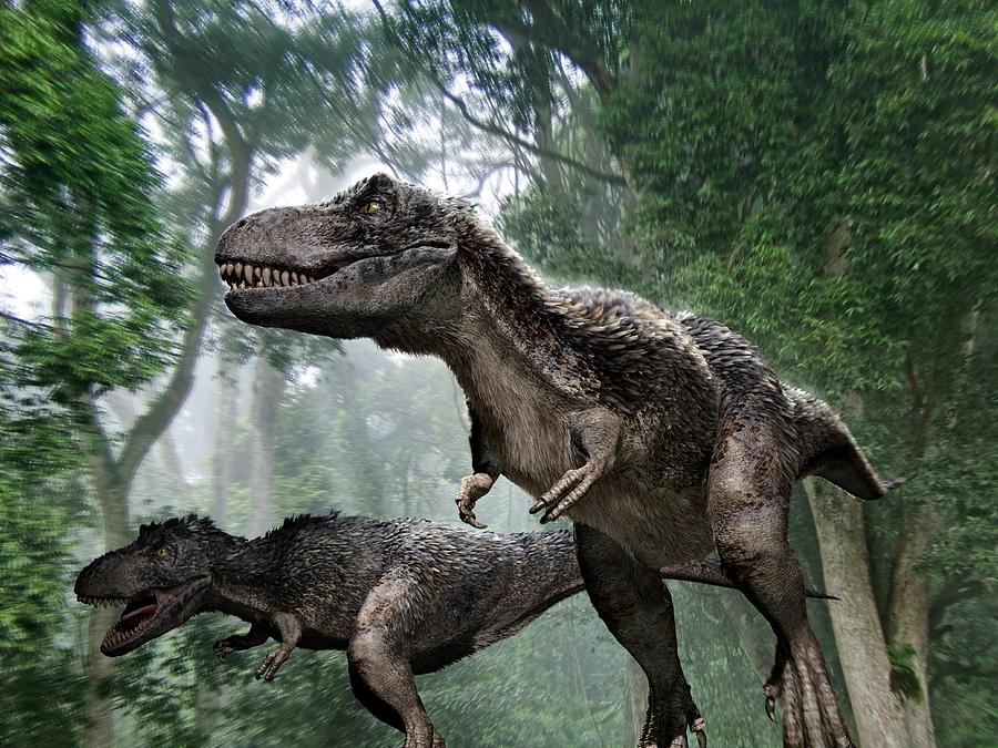Tyrannosaurus Rex Dinosaurs #1 Photograph by Jose Antonio PeÑas