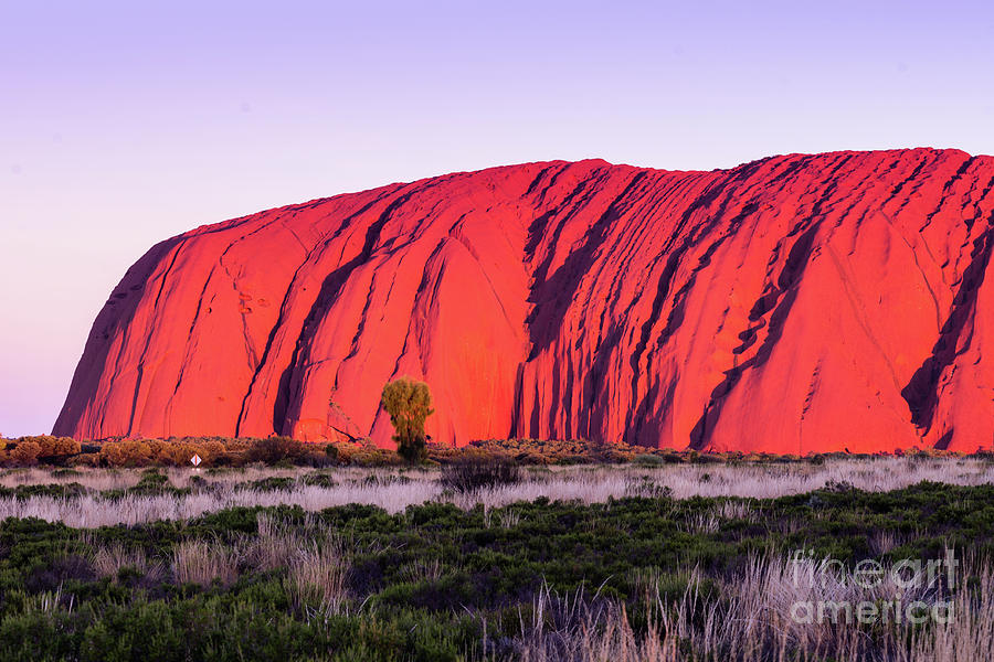 Uluru #1 Photograph by Andrew Michael