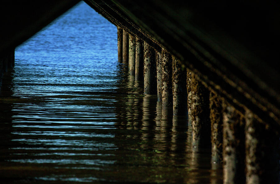 Under The Boardwalk #1 Photograph by Karol Livote