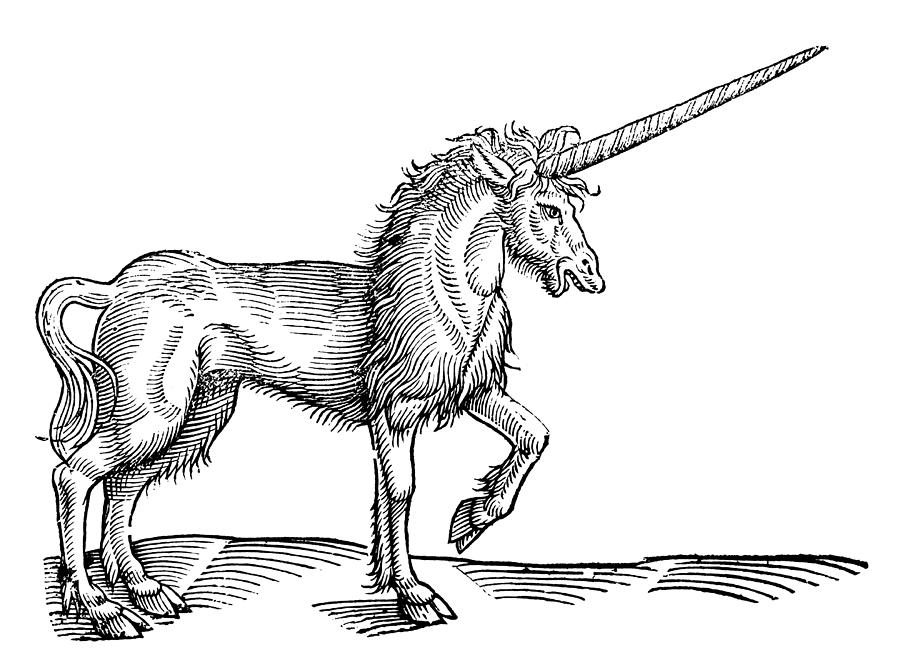 Unicorn Photograph - Unicorn, 1607 #1 by Granger
