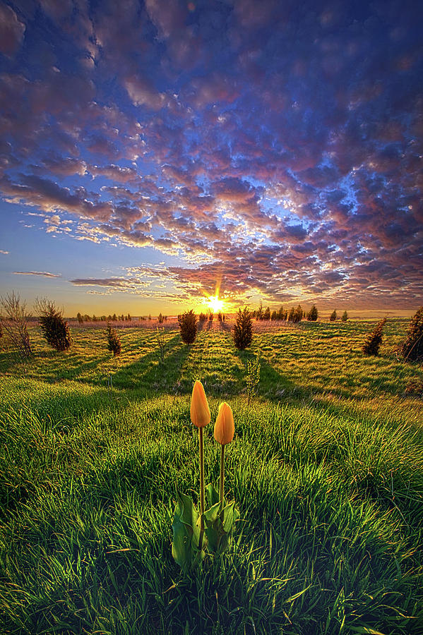 Until Then #1 Photograph by Phil Koch