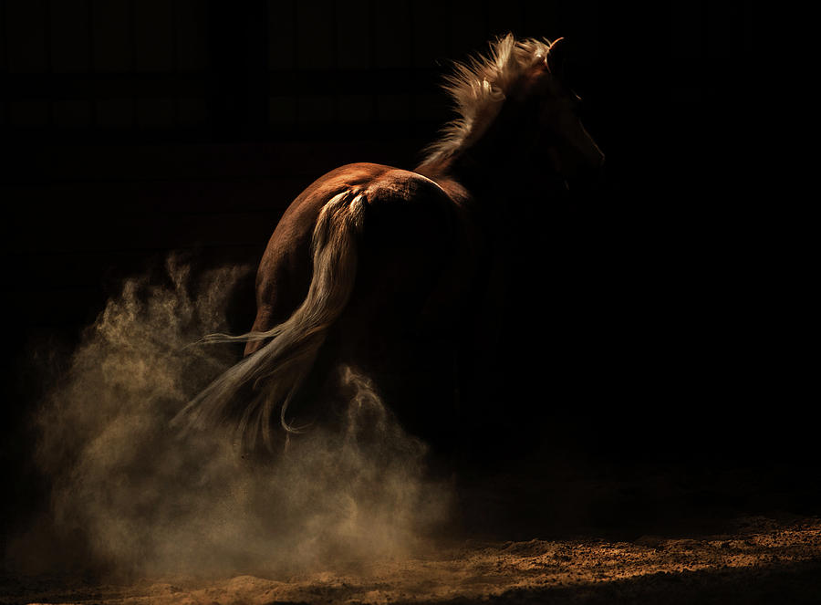 Untitled by Ryan Courson Untitled by Ryan Courson